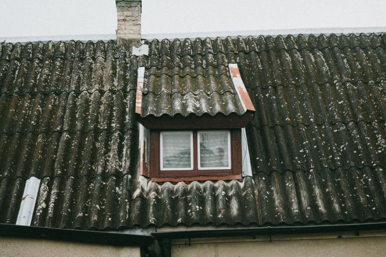 Asbestos Siding Removal in Louisiana: What Metairie and River Ridge Homeowners Should Do First